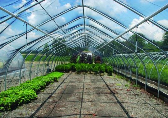 Greenhouse & Tunnel Supplies