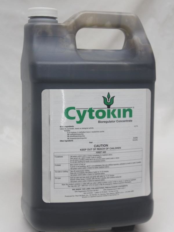 Cytokin 