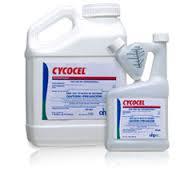 CYCOCEL 11.8% GROWTH REGULATOR | Martin's Produce Supplies