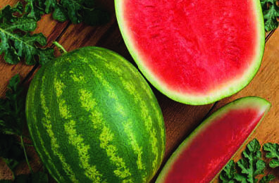 Watermelon, Millionaire, Hybrid Triploid 