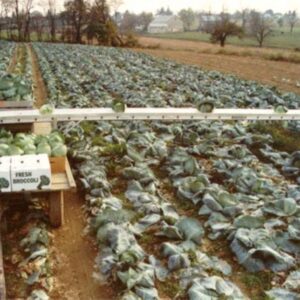 Hyd Drive 28' Conveyor (w/Chain & Clamp)