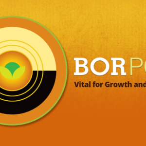 Borpower, 10% boron