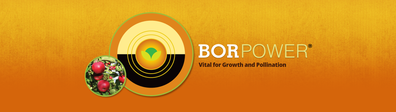 Borpower, Boron 10% (2.5 gal)