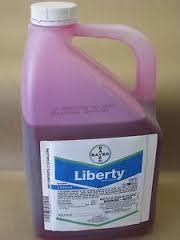 Liberty 280 SL Herbicide (2.5 GAL)