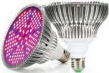 LED Grow Lights