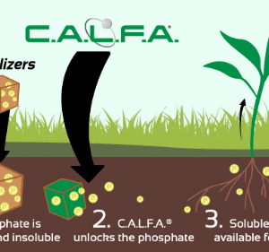 C.A.L.F.A.  2.5 Gal.