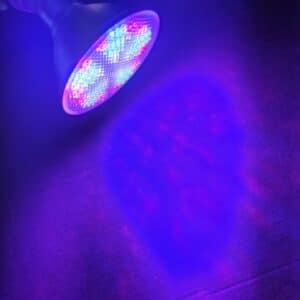 18 Watt, AC Blue Grow Lights