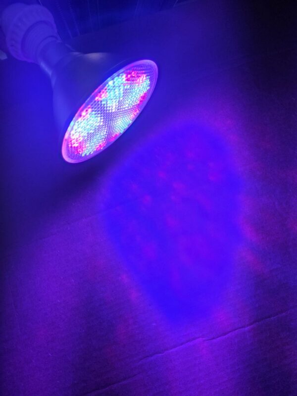 18 Watt, AC Blue Grow Lights
