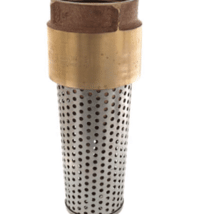 Brass Foot Valve 2"
