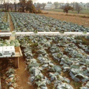 Hyd Drive 28' Conveyor (w/Winch)