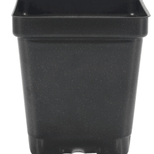 Square Press Fit Pots